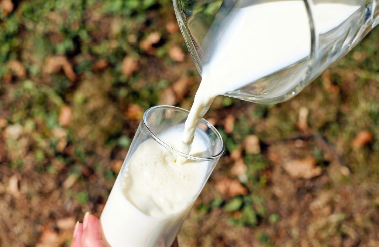 Milky Creamy Goat Milk Cleanser